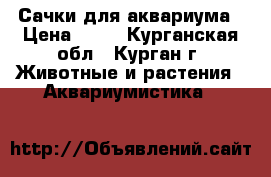 Сачки для аквариума › Цена ­ 50 - Курганская обл., Курган г. Животные и растения » Аквариумистика   